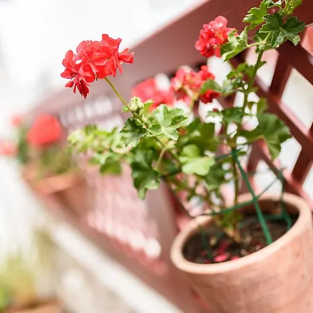 Les Almadies - Coeur De Saint-Jean-de-Luz